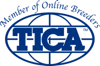 TICA - Member of online breeders